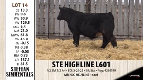Lot #14 - STE HIGHLINE L601