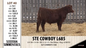 Lot #40 - STE COWBOY L685