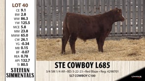 Lot #40 - STE COWBOY L685