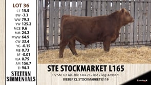 Lot #36 - STE STOCKMARKET L165