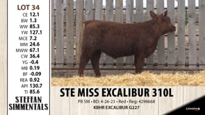 Lot #34 - STE MISS EXCALIBUR 310L