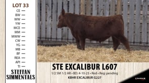 Lot #33 - STE EXCALIBUR L607