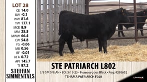 Lot #28 - STE PATRIARCH L802