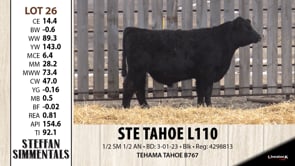 Lot #26 - STE TAHOE L110