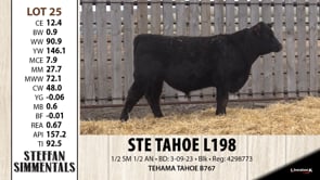 Lot #25 - STE TAHOE L198