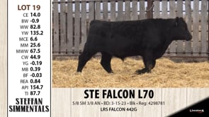 Lot #19 - STE FALCON L70