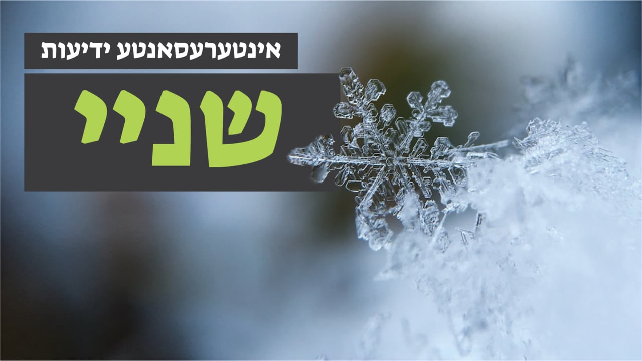 אינטערעסאנטע ידיעות - שניי