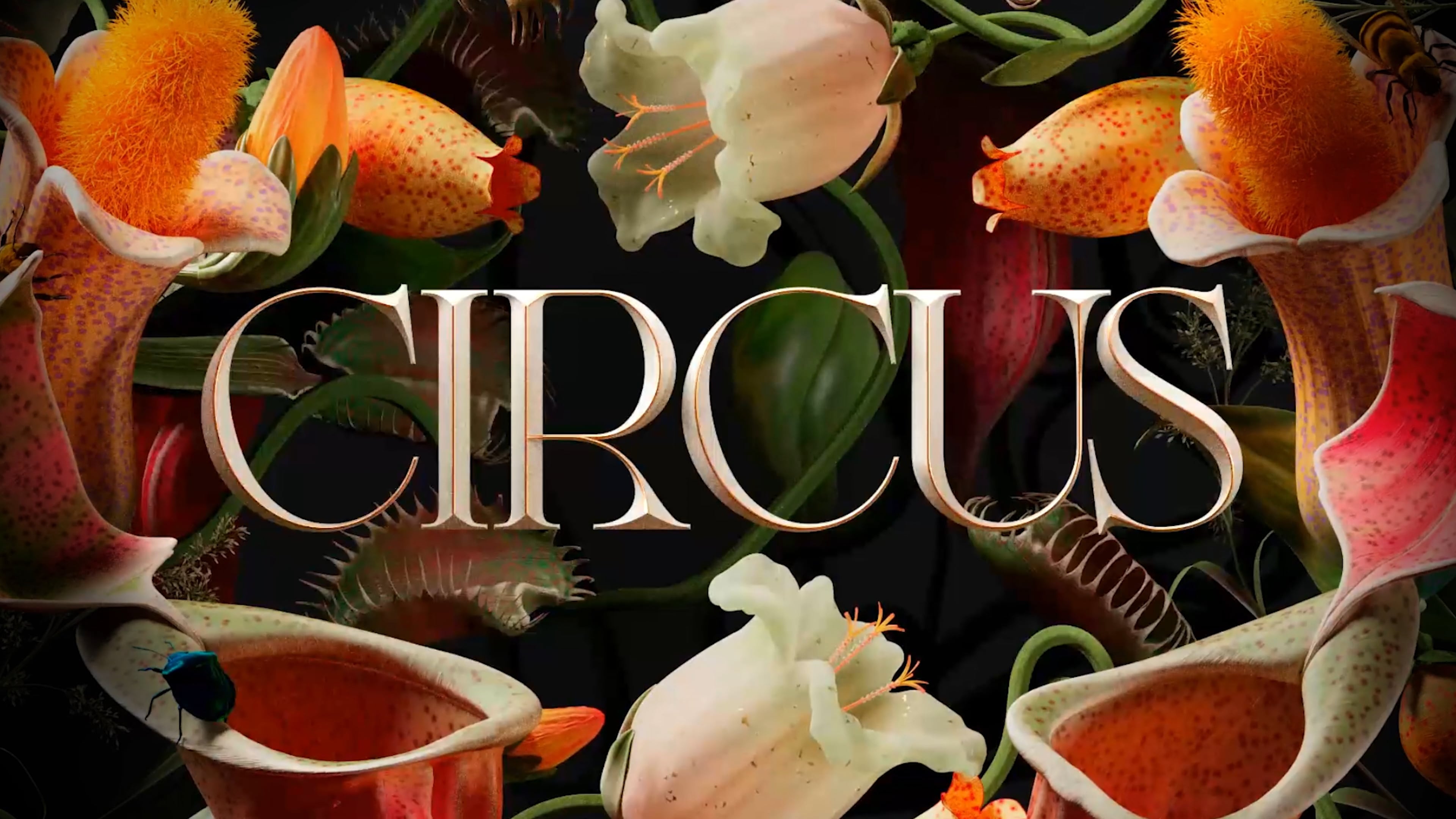Circus - Brand Film