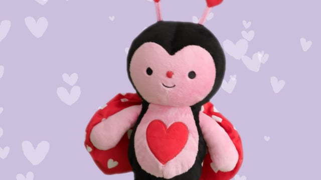 Love bug shop teddy