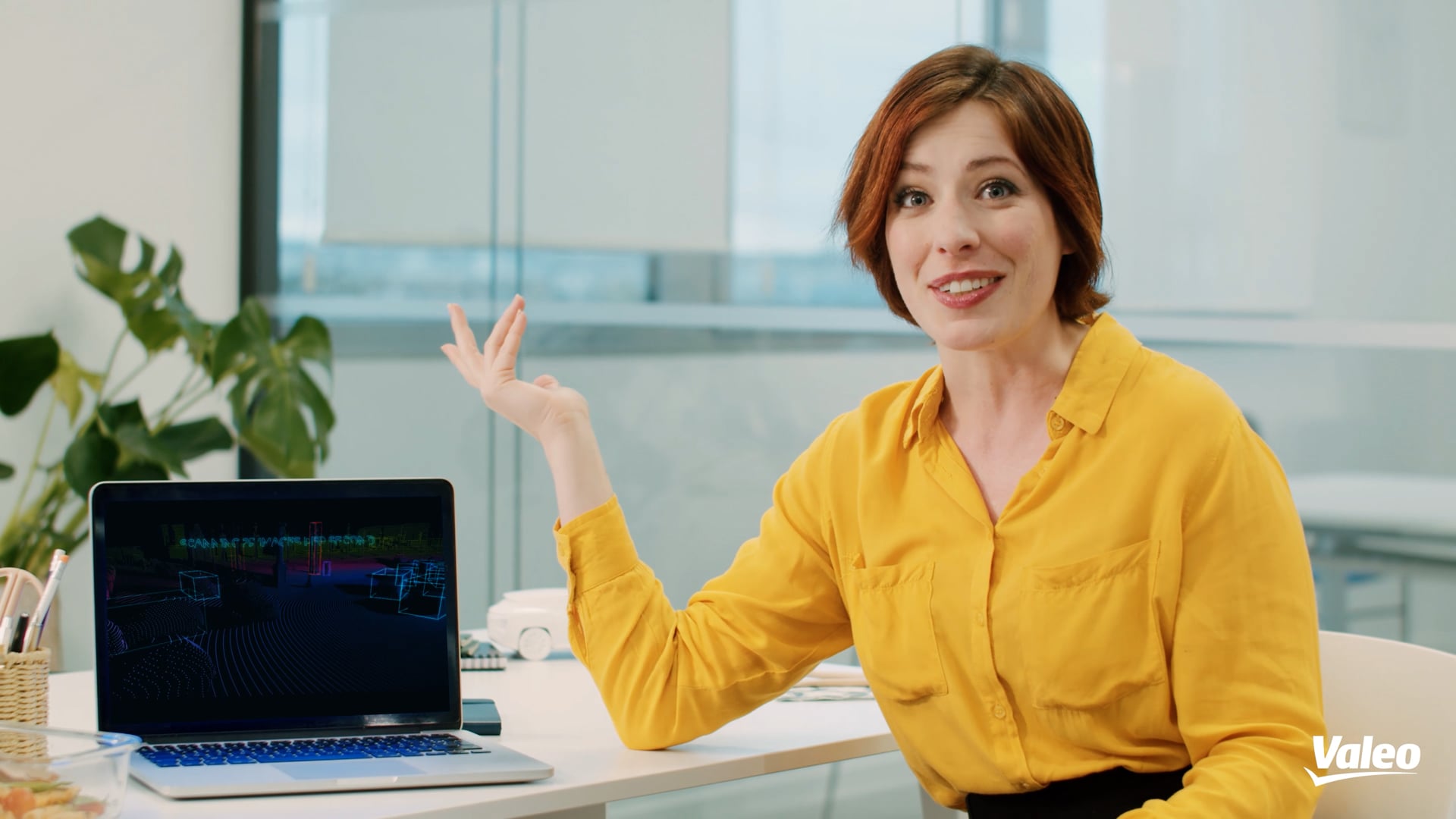 Valeo | What is Valeo ?
