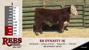 Lot #1 - RB DYNASTY 1K