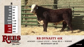 Lot #8 - RB DYNASTY 41K