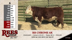 Lot #6 - RB CHROME 6K