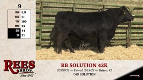Lot #9 - RB SOLUTION 42K