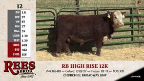 Lot #12 - RB HIGH RISE 12K