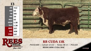 Lot #13 - RB CUDA 13K