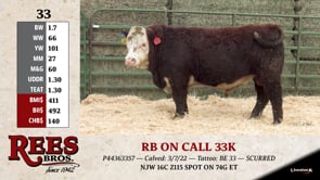 Lot #33 - RB ON CALL 33K