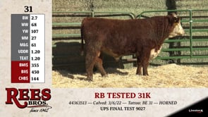 Lot #31 - RB TESTED 31K