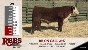 Lot #29 - RB ON CALL 29K