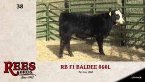 Lot #38 - RB F1 BALDEE 060L