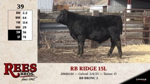 Lot #39 - RB  RIDGE 15L