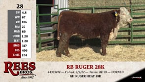 Lot #28 - RB RUGER 28K