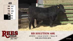 Lot #48 - RB SOLUTION 48K