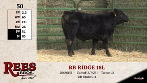 Lot #50 - RB RIDGE 18L