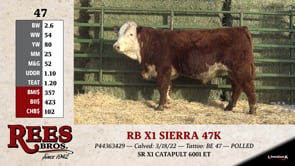 Lot #47 - RB X1 SIERRA 47K