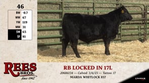 Lot #46 - RB LOCKED IN 17L