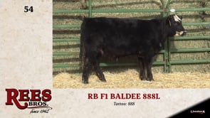 Lot #54 - *** OUT *** RB F1 BALDEE 888L