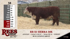 Lot #58 - RB X1 SIERRA 58K