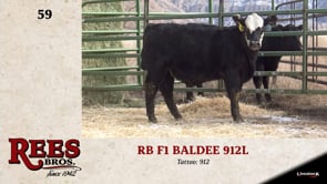 Lot #59 - RB F1 BALDEE 912L