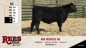 Lot #61 - TB RIDGE 8L