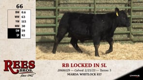 Lot #66 - RB LOCKED IN 5L