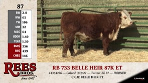 Lot #87 - *** OUT *** RB 733 BELLE HEIR 87K ET