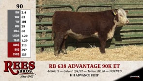 Lot #90 - RB 638 ADVANTAGE 90K ET