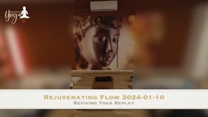 Rejuvenating flow 2024-01-10