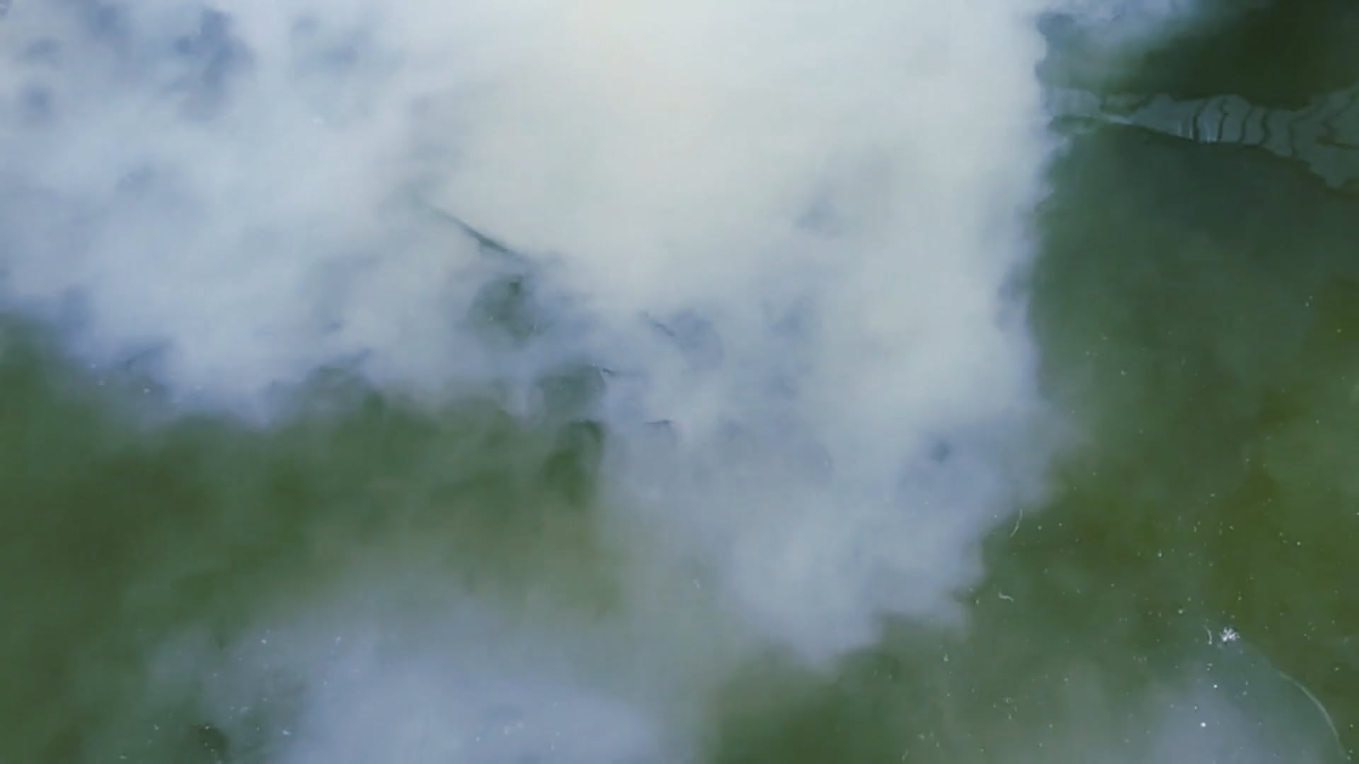 https://i.vimeocdn.com/video/1781702691-89bf55a1e3e5ca3c6d49e4485548e6137c7913bc31467c8977dc77199e940184-d