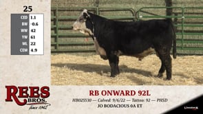 Lot #25 - RB ONWARD 92L