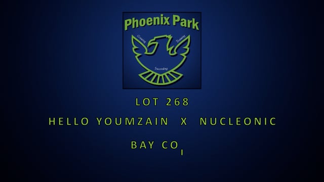 Lot 268