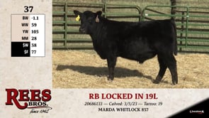 Lot #37 - RB LOCKED IN 19L