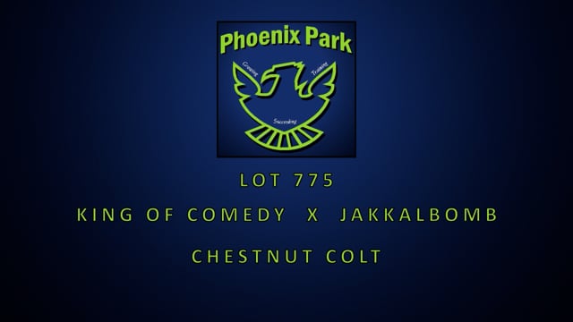 Lot 775