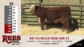 Lot #88 - RB 733 BELLE HEIR 88K ET
