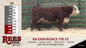 Lot #77 - RB ENDURANCE 77K ET