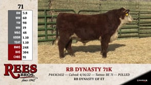 Lot #71 - RB DYNASTY 71K