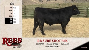 Lot #65 - *** OUT *** RB SURE SHOT 35K