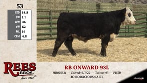 Lot #53 - RB ONWARD 93L