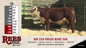 Lot #51 - RB229 HIGH RISE 51K