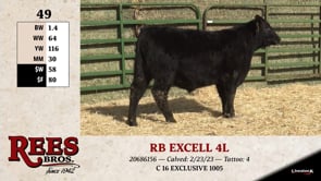 Lot #49 - RB EXCELL 4L